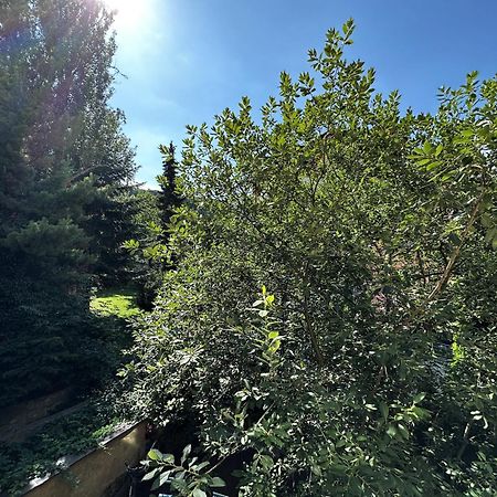 פראג Black Eagle Apartments מראה חיצוני תמונה
