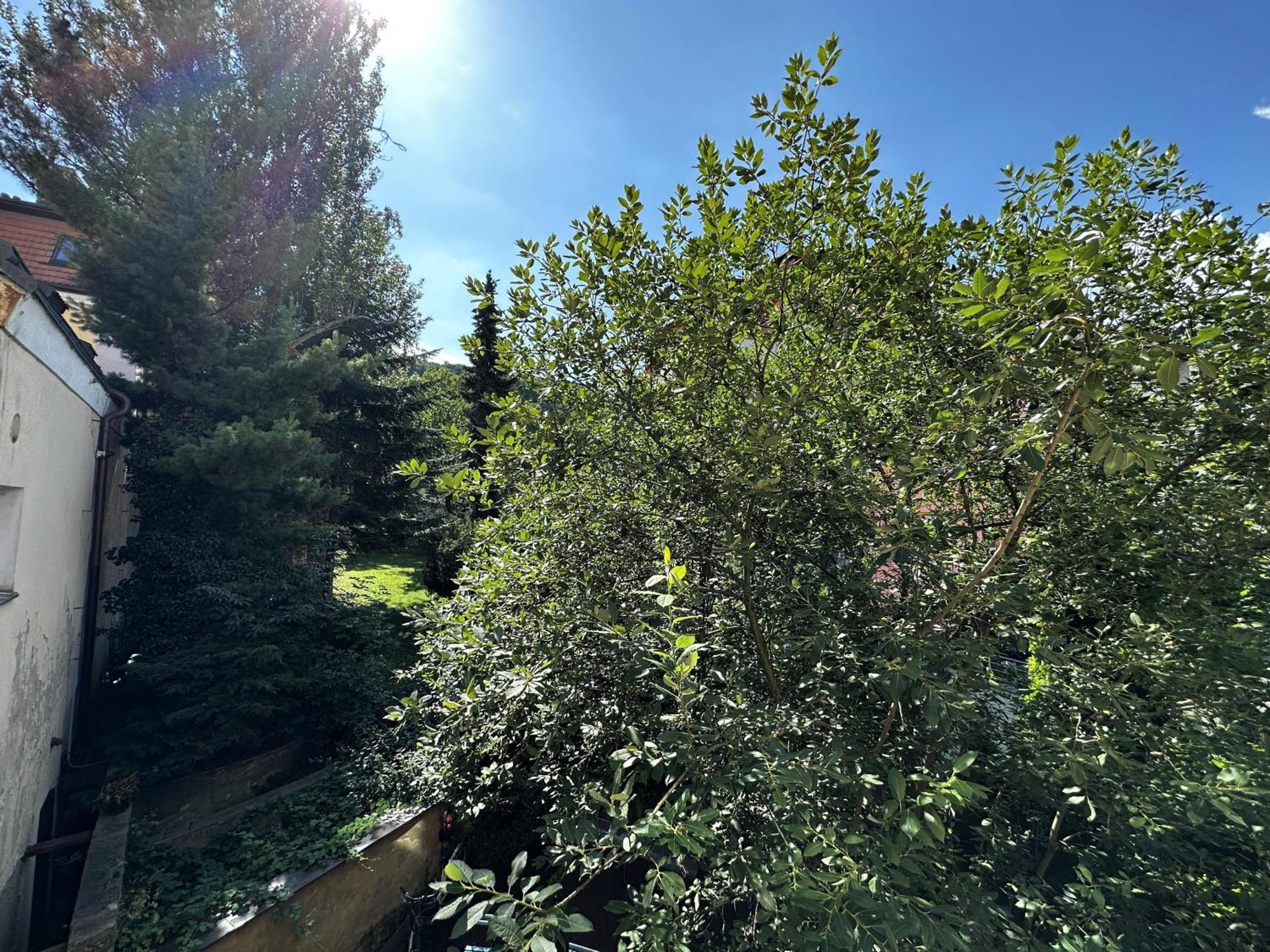 פראג Black Eagle Apartments מראה חיצוני תמונה